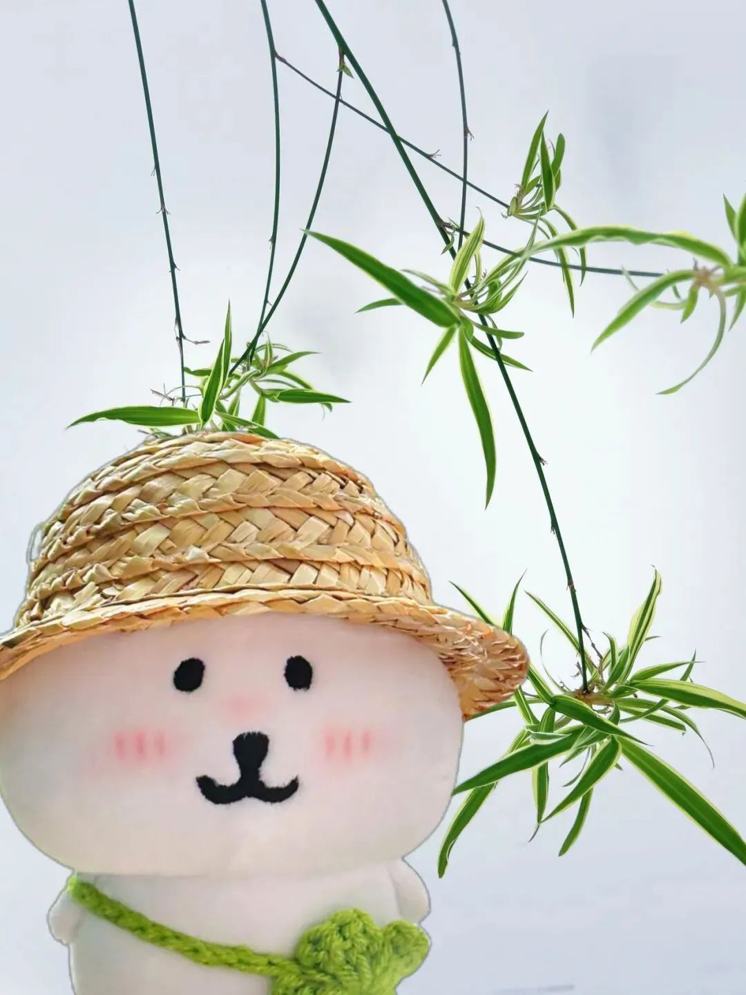 春节去哪儿旅游最省钱