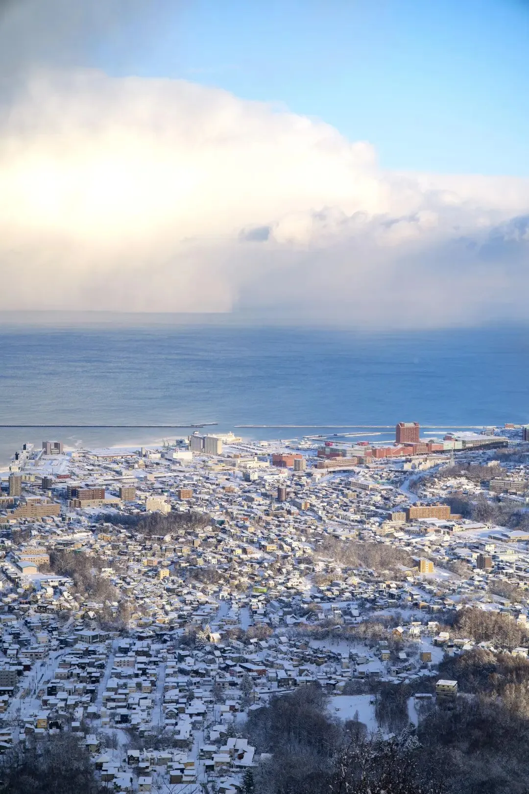 北海道旅游已回,我的消费观崩塌了!!!