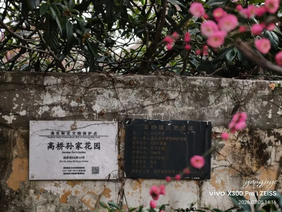 高桥深度游⑩:鲜为人知的高桥景点——高桥孙家花园