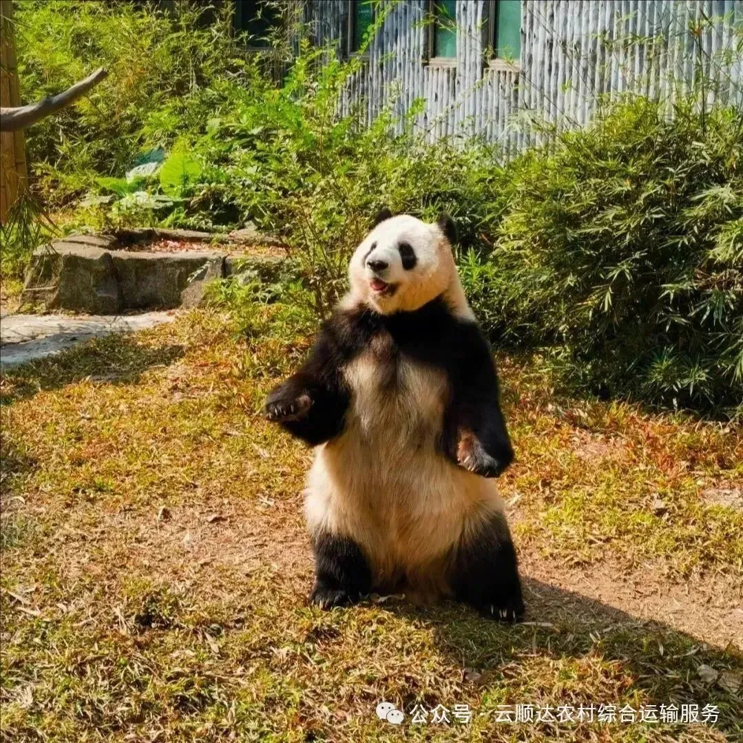 【寒假旅游直通车】广东科学中心、广州动物园、广东省博物馆-往返车费59元起