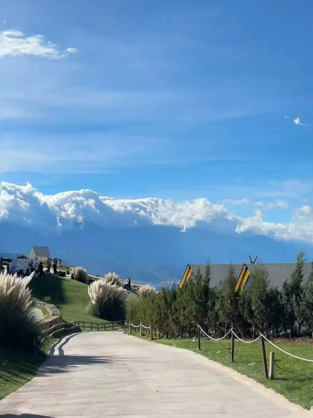 云南旅游美食景点推荐