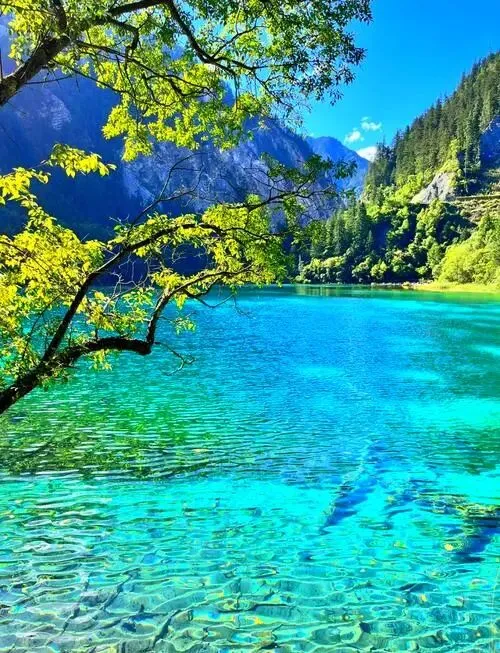 九寨沟风景区把全国景区的饭碗给砸了