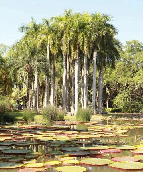 春节假期最适合亲子游的五大自然景区,人少花费低,孩子乐玩爸妈放心,创意出游新选择!