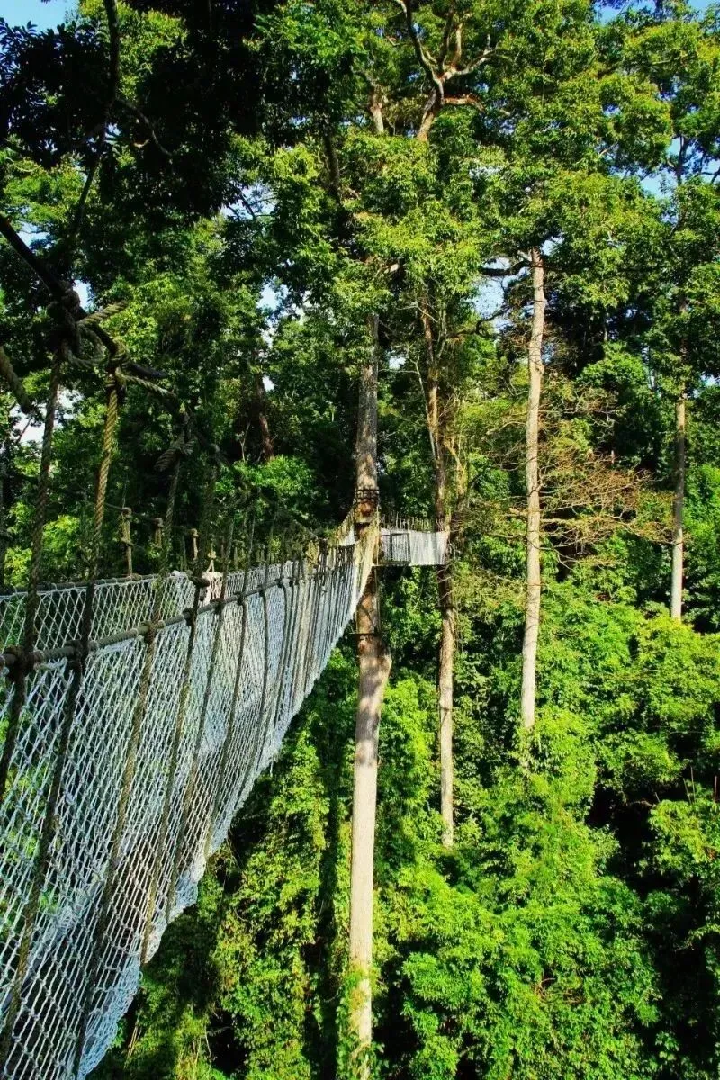 勐腊县冬季旅游“泼天富贵”承接之道:借鉴先进经验,深度分析与实践路径