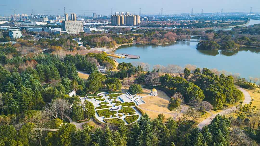 大量俄罗斯人涌入上海,打着旅游的名义,不访外滩万国建筑群不看东方明珠,想干啥?