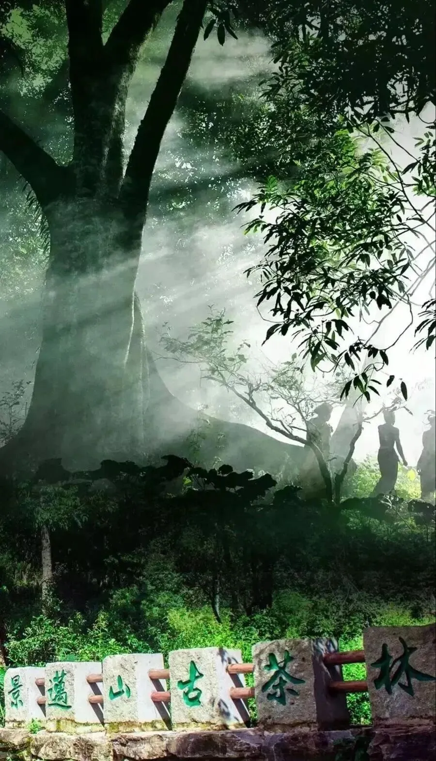 新晋5A景区:景迈山 | 全球首个茶主题世界文化遗产,一处疗愈身心的避世秘境,藏着云南最温柔的慢生活,古茶、云海、古寨和民族风情