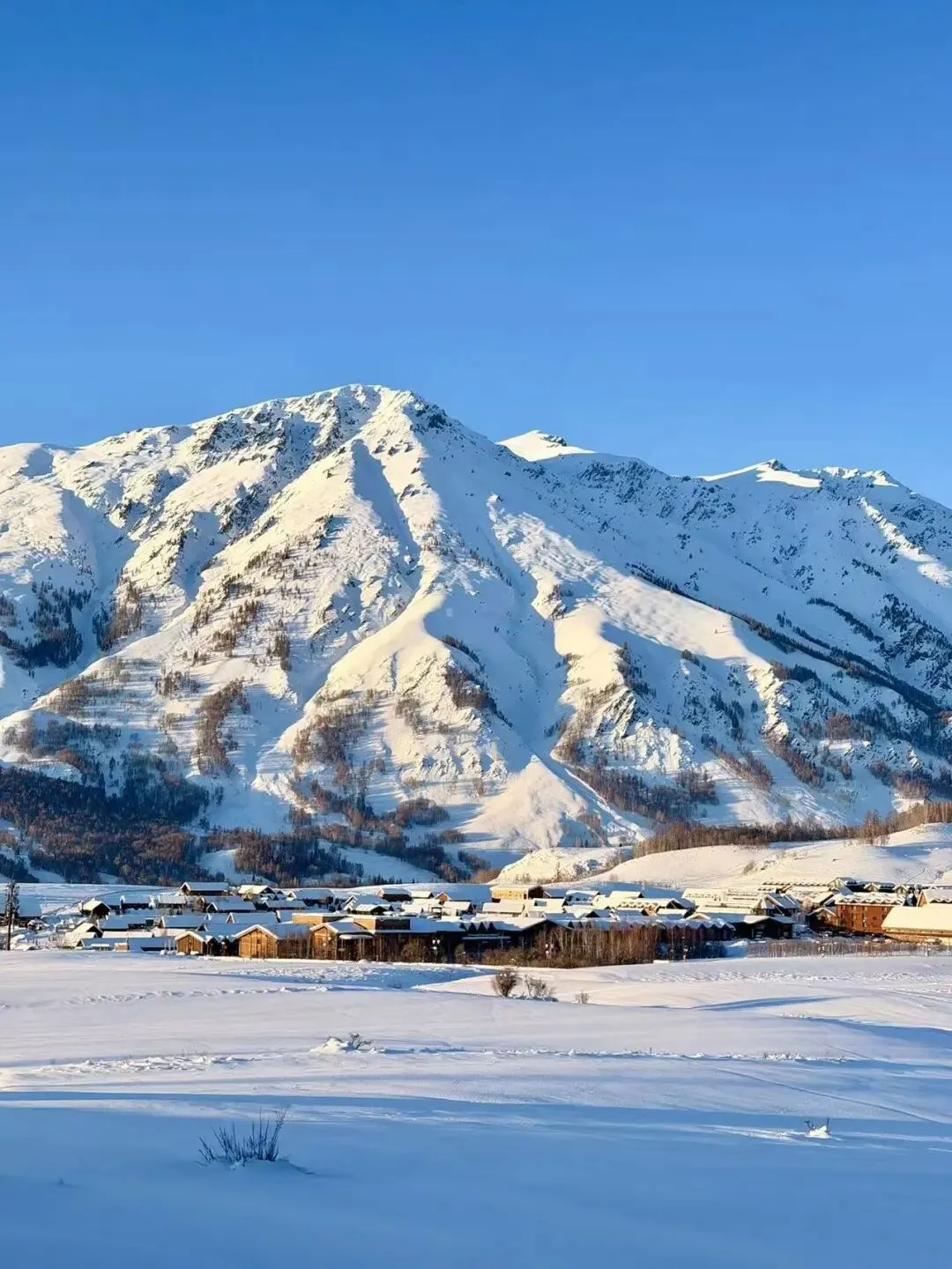 全球冰雪旅游文汇第1期|法国阿尔卑斯山包价登山旅游参与者研究:参与意愿的关键影响因素评估
