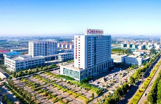 【科普】当“孕期”遇上春节旅游,这份秘籍请收好!