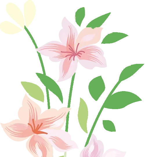 【脆皮打工人】2026年2月厦门旅游避雷篇