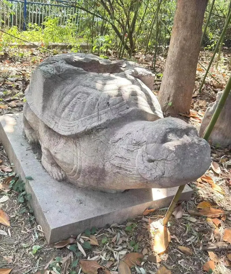 挤爆热门景点?来邓府山,独享小众震撼明史体验