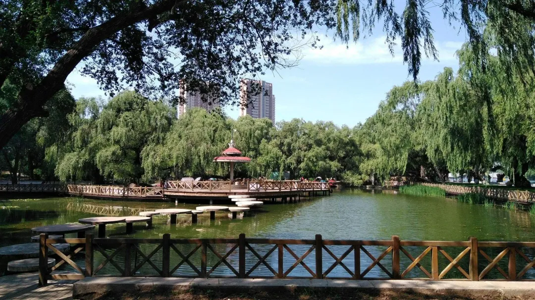 大量俄罗斯人涌入辽宁沈阳,打着旅游的名义,不访沈阳故宫不看张氏帅府,想干啥?