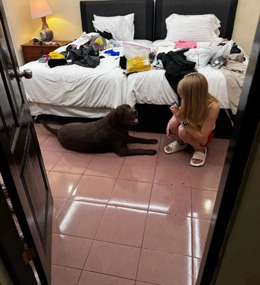 妹子旅游住酒店,洗澡出来懵了,房间里来了一只大黑狗!