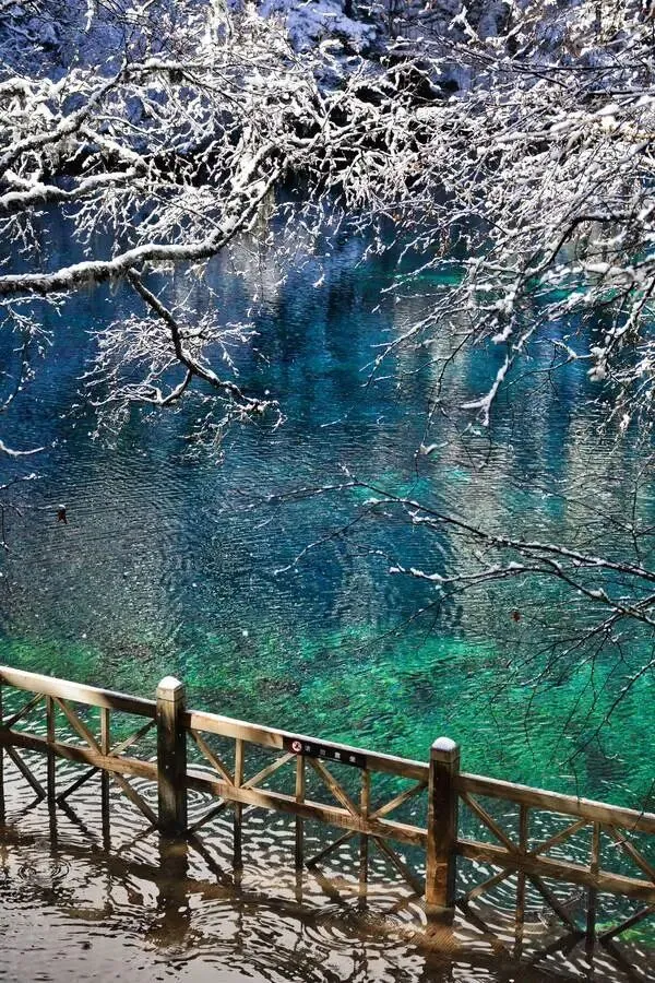 四川阿坝藏族羌族自治州旅游攻略