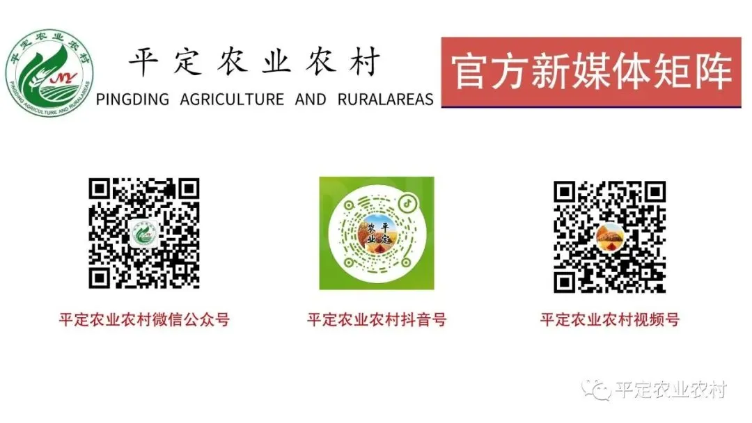 山西省阳泉市三处景区景点入选山西春节特色主题线路