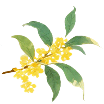 黑油山景区【春节期间】营业时间通知!