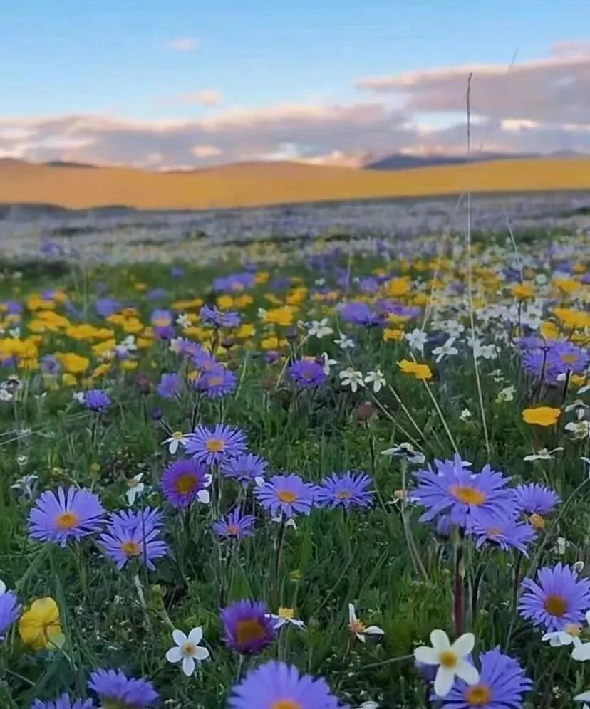 3-4月的新疆春天,不是所有景点都“在状态”!草没绿、雪未净、花刚醒…别白跑一趟!