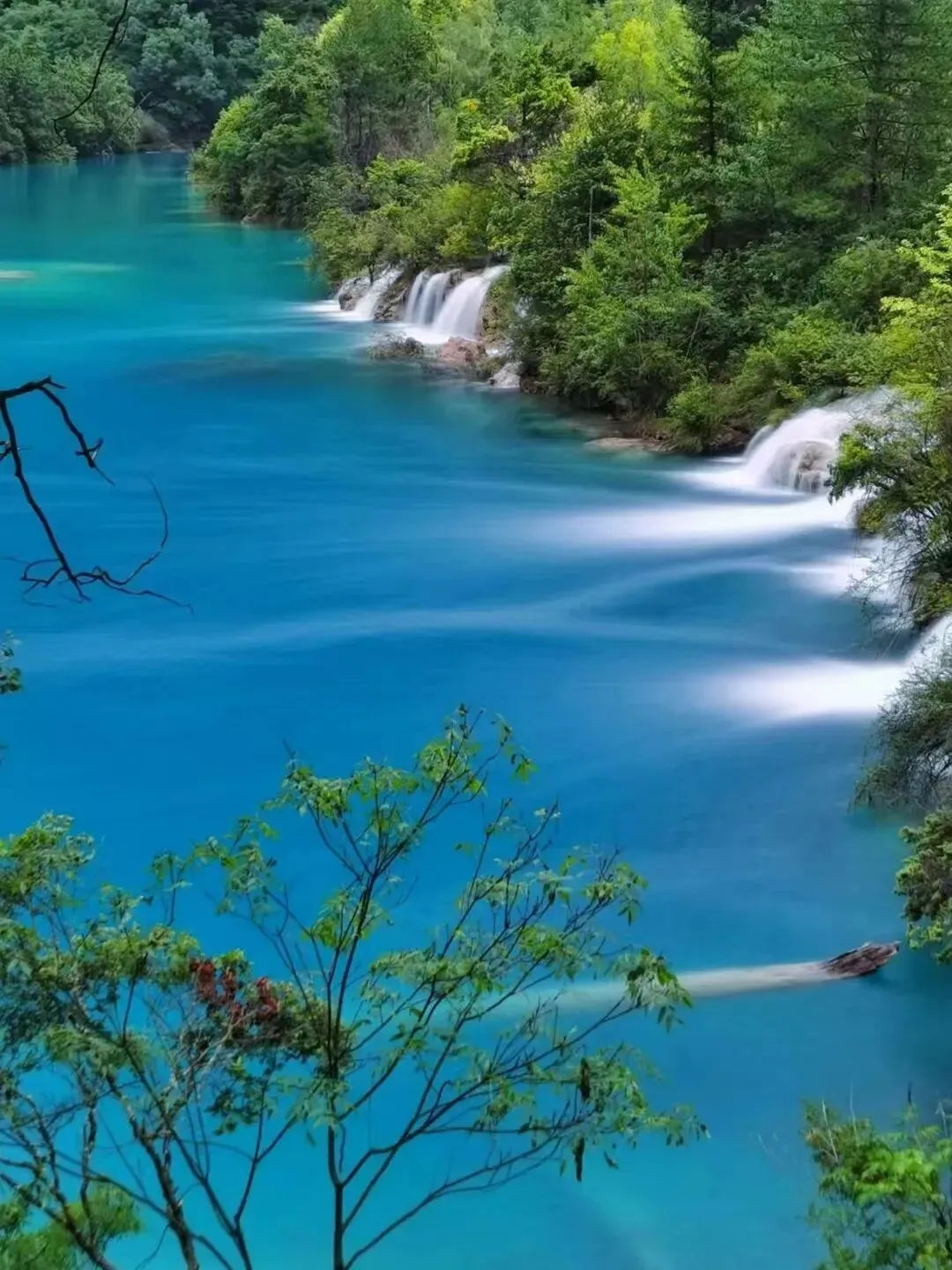 九寨沟春节最新通知,速查收,附旅游攻略