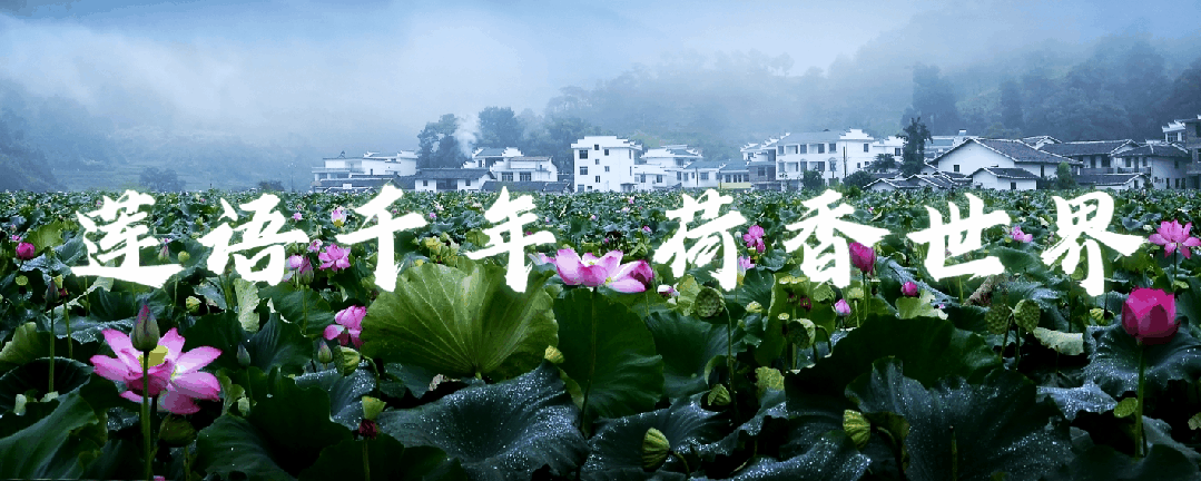 喜报!广昌县新增一国家AAAA级旅游景区!