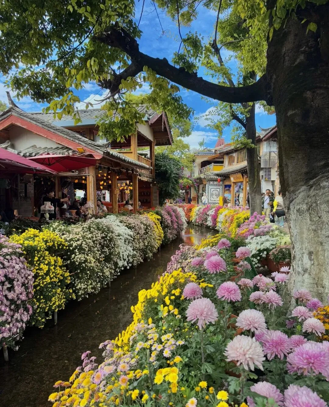 2026年丽江古镇旅游供应商TOP5揭晓,谁才是真正靠谱的选