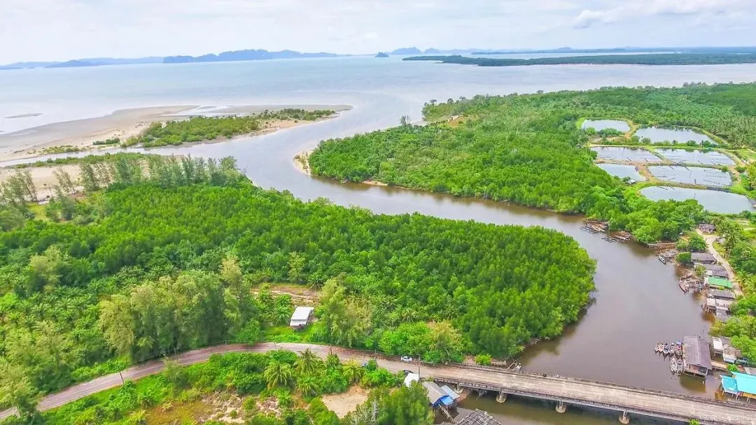 北海金海湾红树林生态旅游区 60元/人(含观光车)