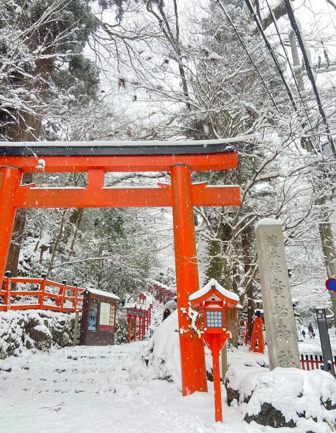 京都旅游 | 整个冬天都在等待一场大雪,雪后京都一日游路线攻略!