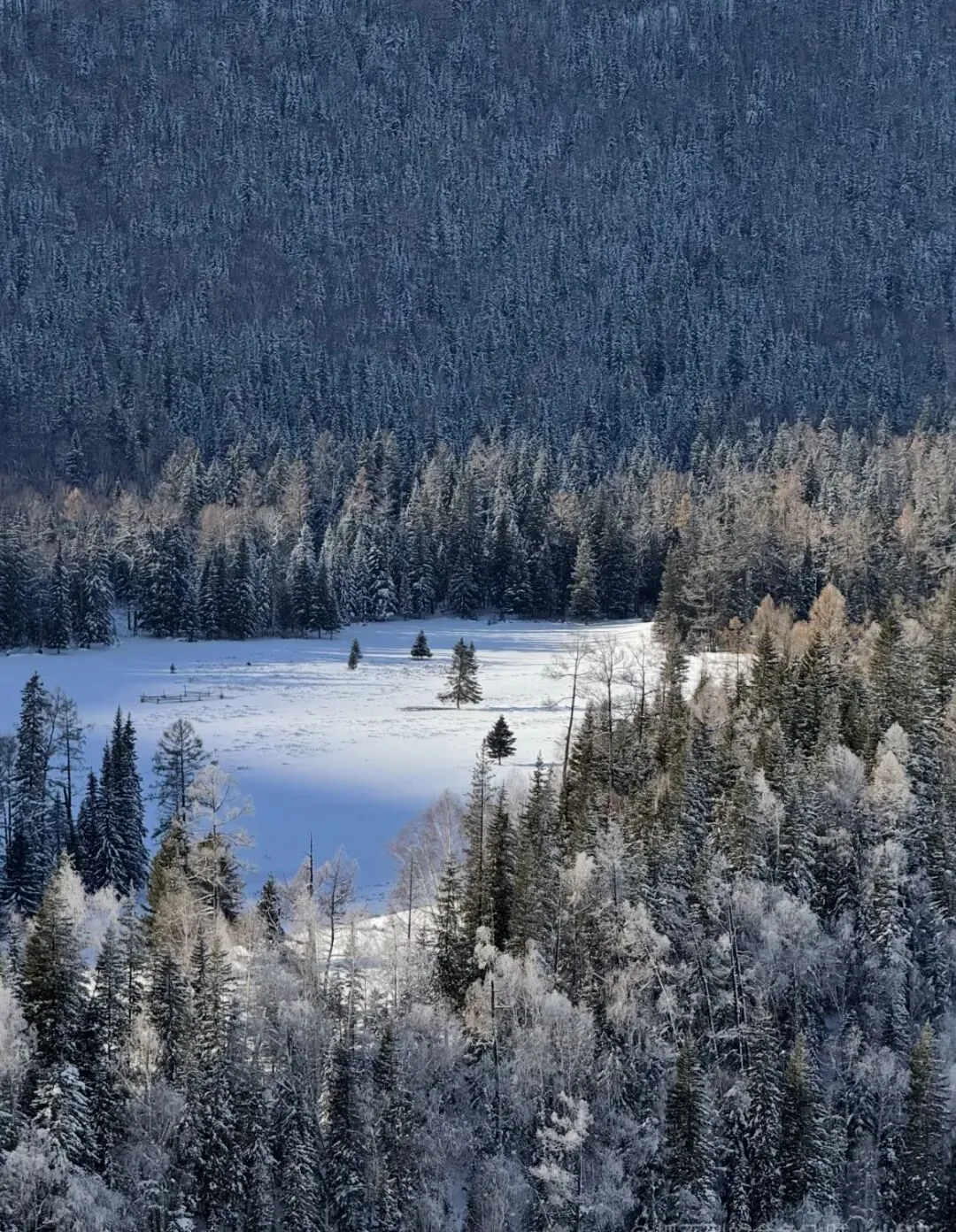 新疆6-10日旅游攻略