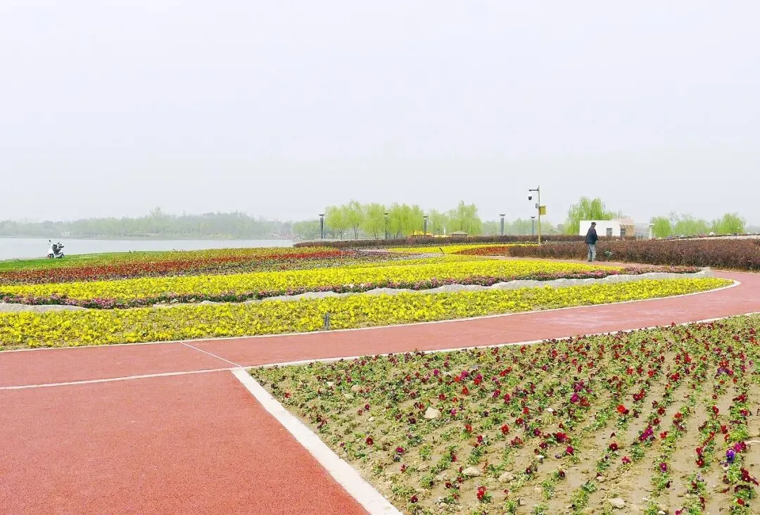 盐城大洋湾生态旅游景区(十八)