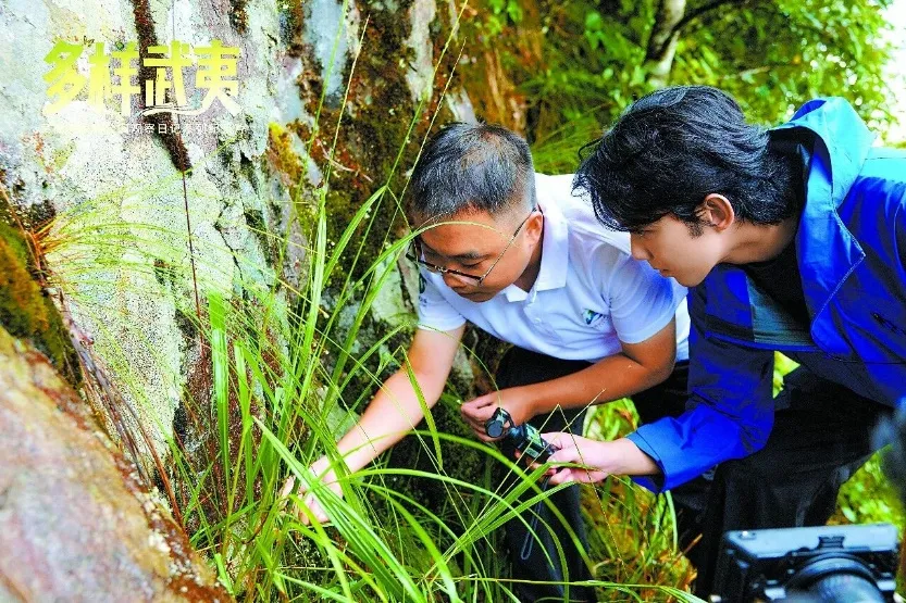 从《多样武夷》看绿色旅游:以生态为底,让景区可持续生长