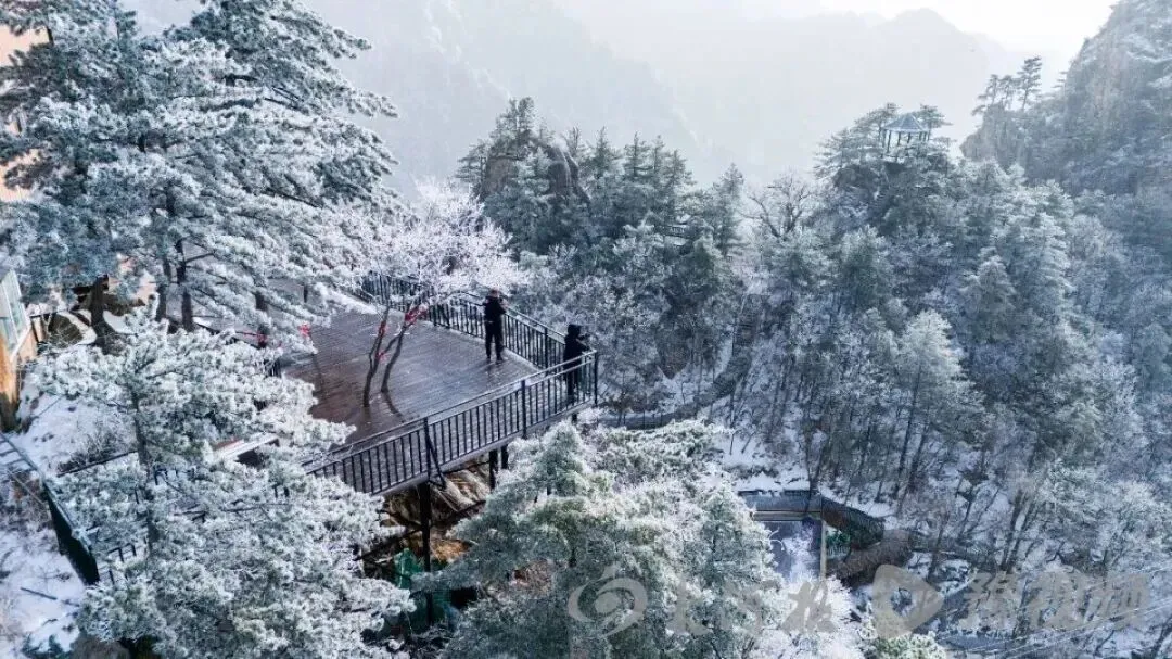 河南春节免门票的景区
