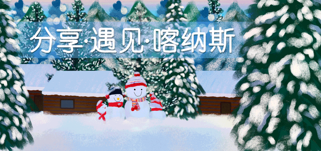 新疆喀纳斯旅游发展股份有限公司关于“业财一体化系统”软件升级的公开询价公告