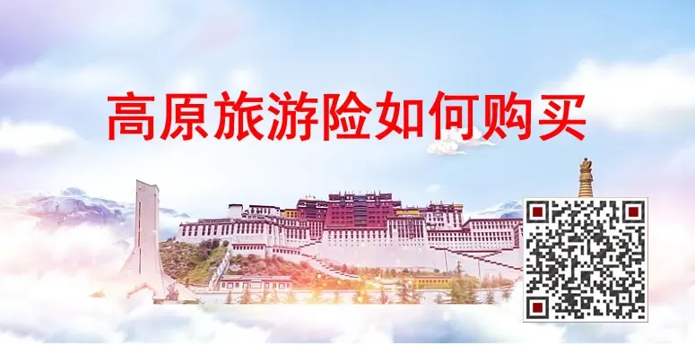 高原出行,如何购买旅游险?一定要注意以下几个事项,推荐8款高原境内险供您选择!