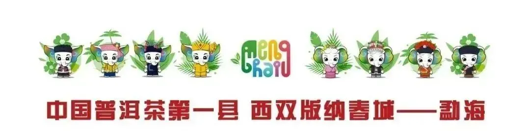 【网络中国节·春节】春节游勐海——景区游玩、乡镇活动全攻略!