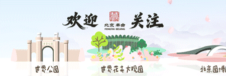 【文明旅游】游园观展守文明,寒假出行有温度