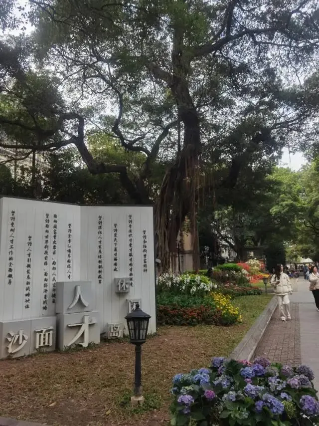 适合带老人孩子的旅游目的地—广州沙面岛半日游