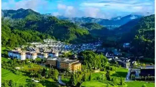 【乡村旅游】仙草生金!江南仙草园解锁乡村康养生态化密码