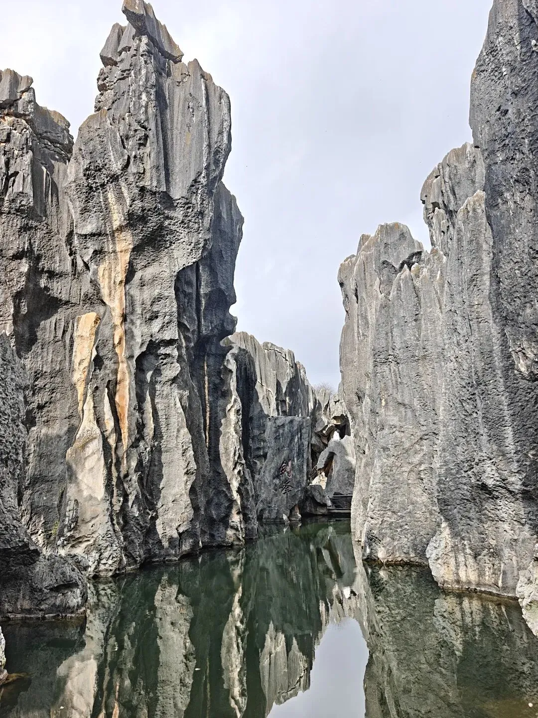 被旅游景区的一则广播暖到了……