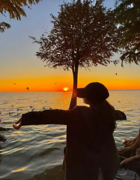 春节去云南八天七晚旅游跟团好吗?费用多少?行程怎样预定?