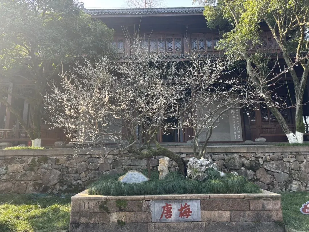 快来杭州4A风景区超山公园赏梅——分享景区游玩省钱秘笈