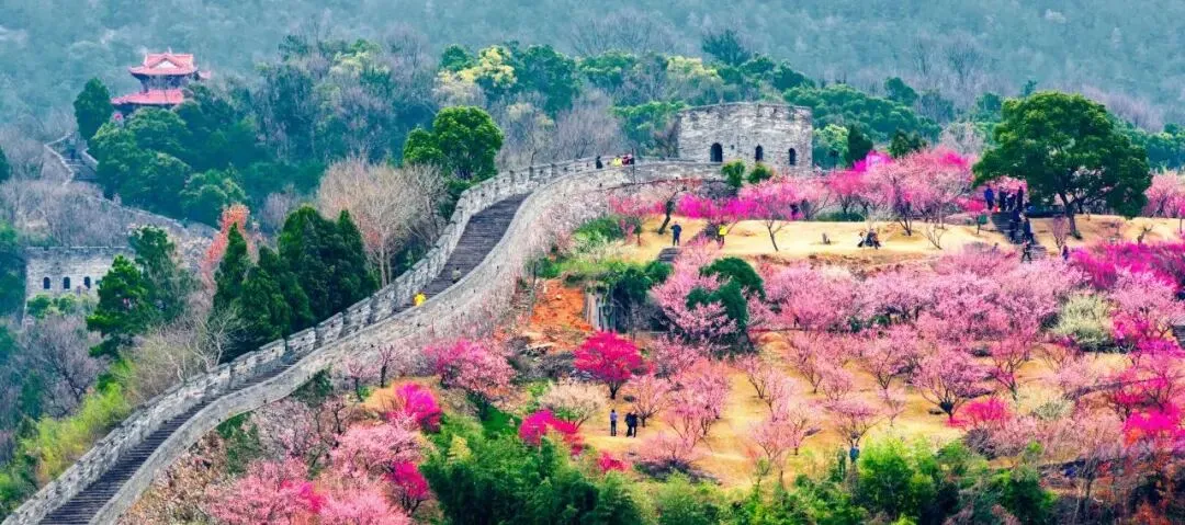 “一票游三天”!台州这一知名景区春节“放大招”