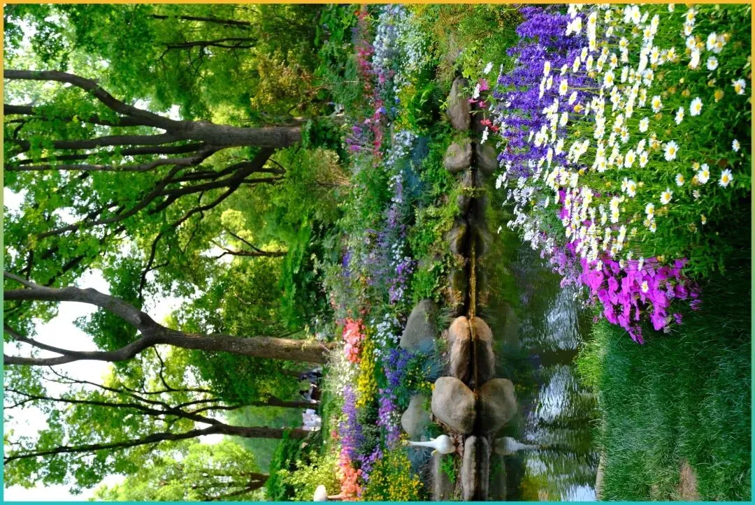 反向旅游太爽了!春节这6个“空城”没人挤,吃喝玩乐包场,太香了!!