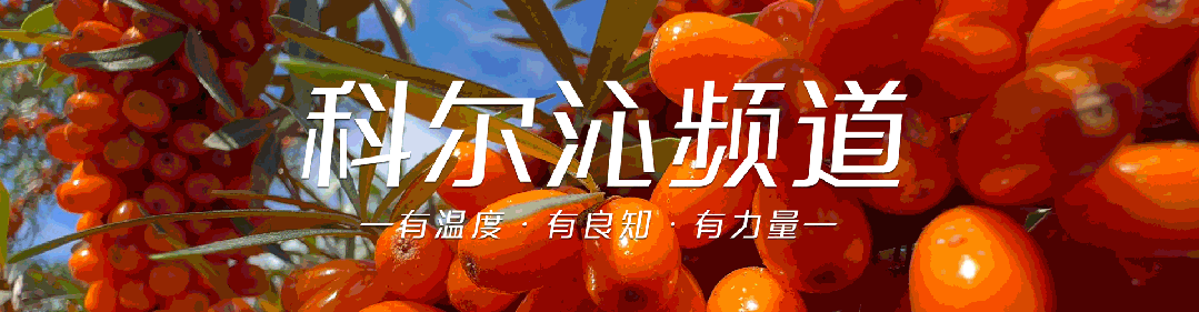 通辽市一景区发布春节期间闭园公告