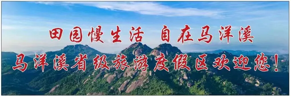 马洋溪之声艺术团参加马洋溪生态旅游区新春晚会