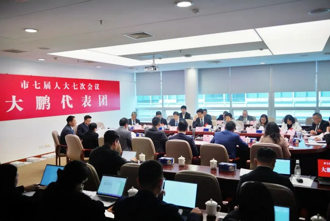 大鹏新区代表团小组会议:聚焦旅游提质与产业升级,建言高质量发展