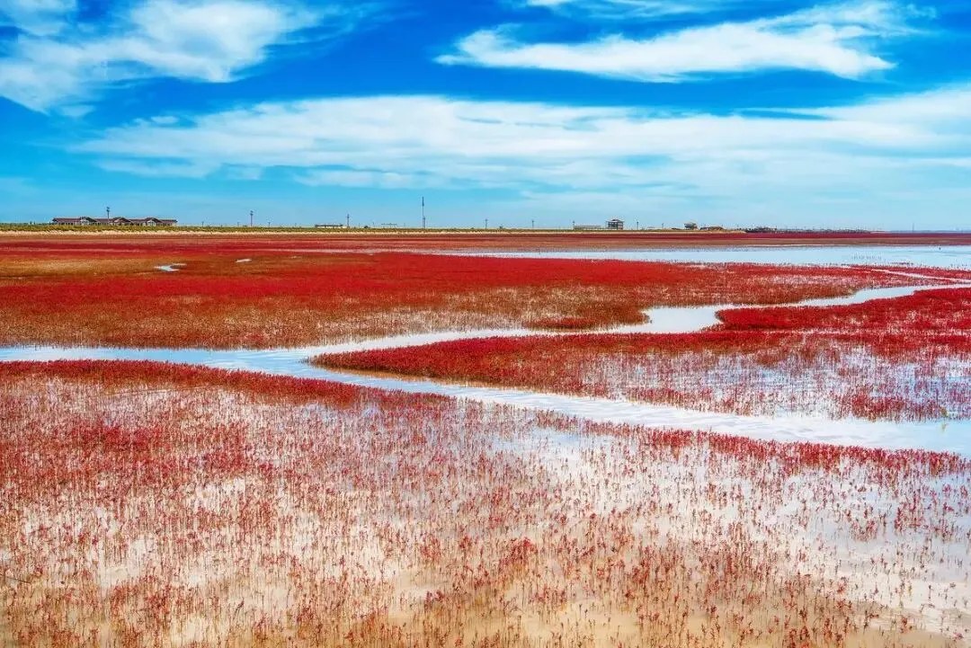 辽宁红海滩把全国景区的饭碗给砸了