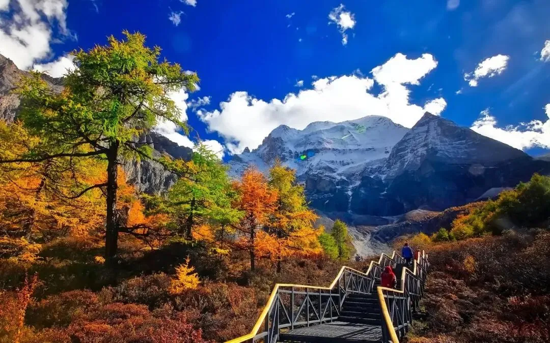 四川稻城亚丁把全国景区的饭碗给砸了