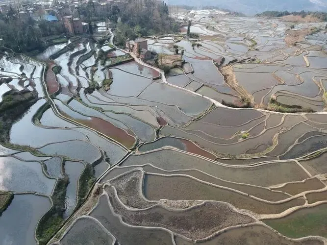 云南元阳梯田把全国景区的饭碗给砸了