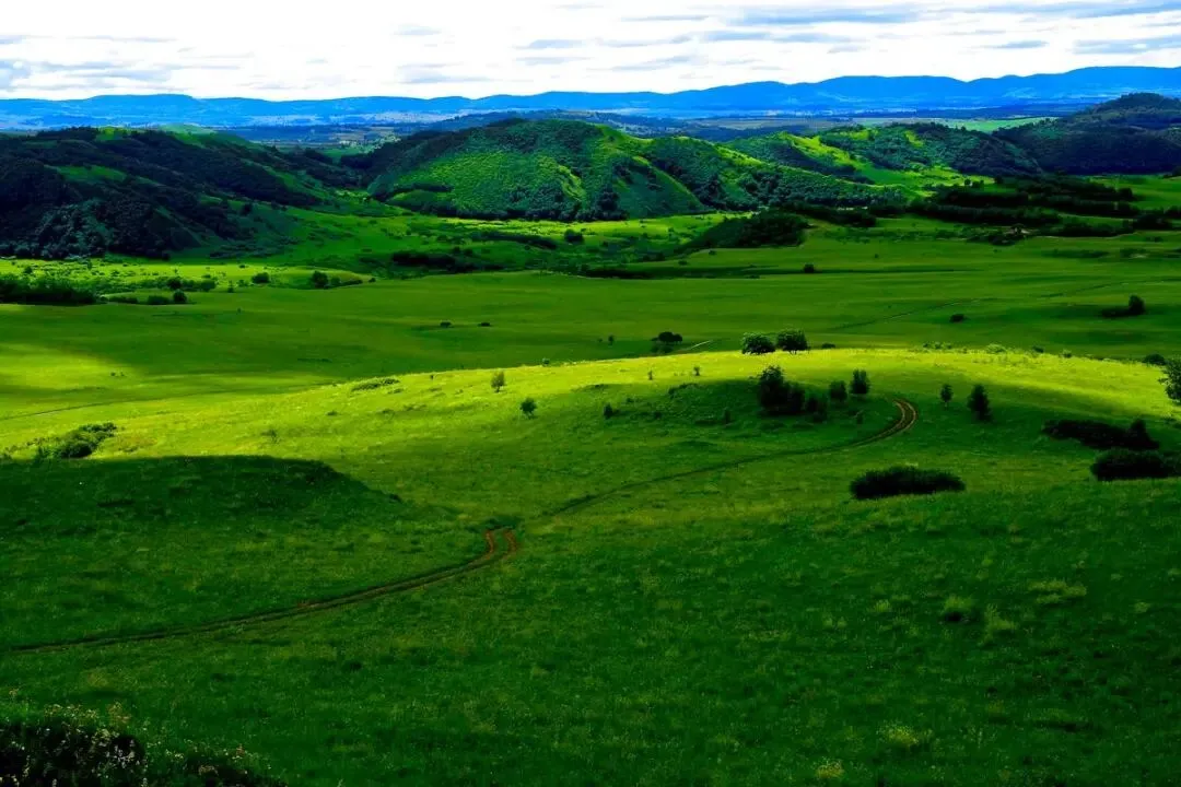 河北坝上草原把全国景区的饭碗给砸了