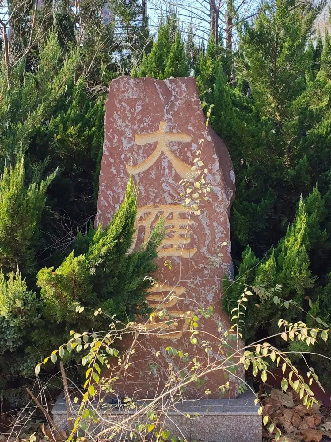 记录德州:探秘德州曾经最火的旅游胜地——大雁岛,还有东山再起的机会吗?