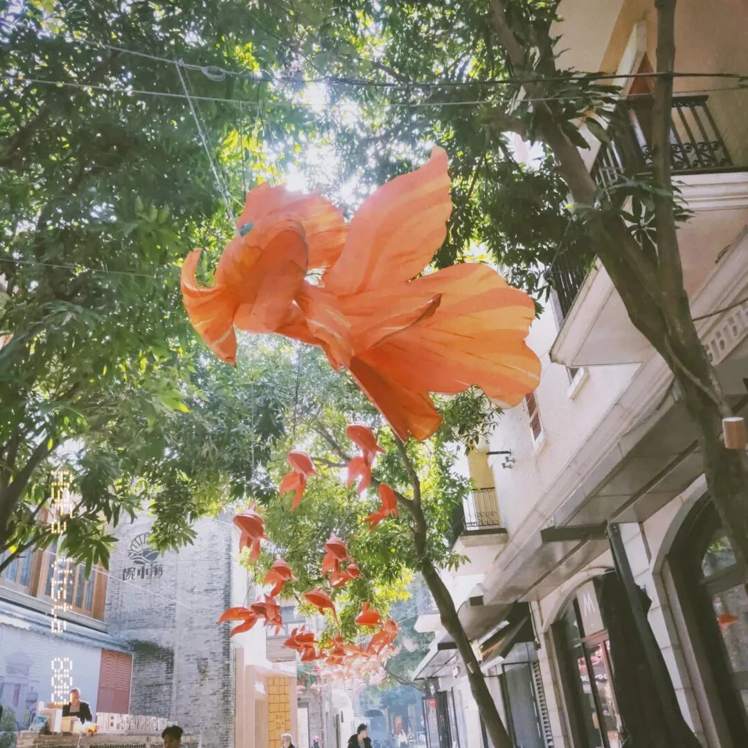 出去旅游必带的东西是什么No.0405