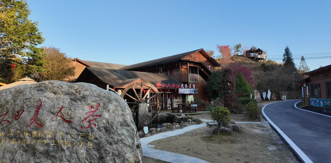 大田茶美人景区“”焕新升级“”